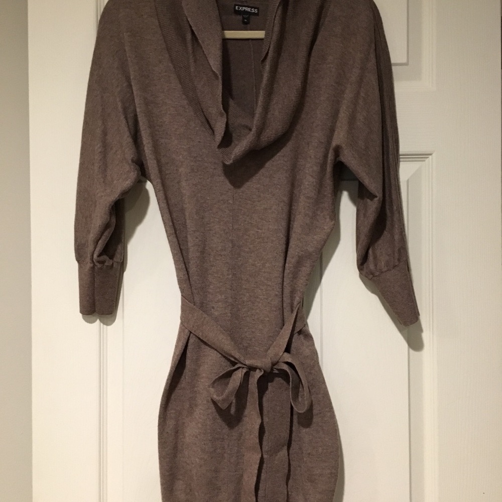 Express Cashmere Cowl Neck Sweater Dress